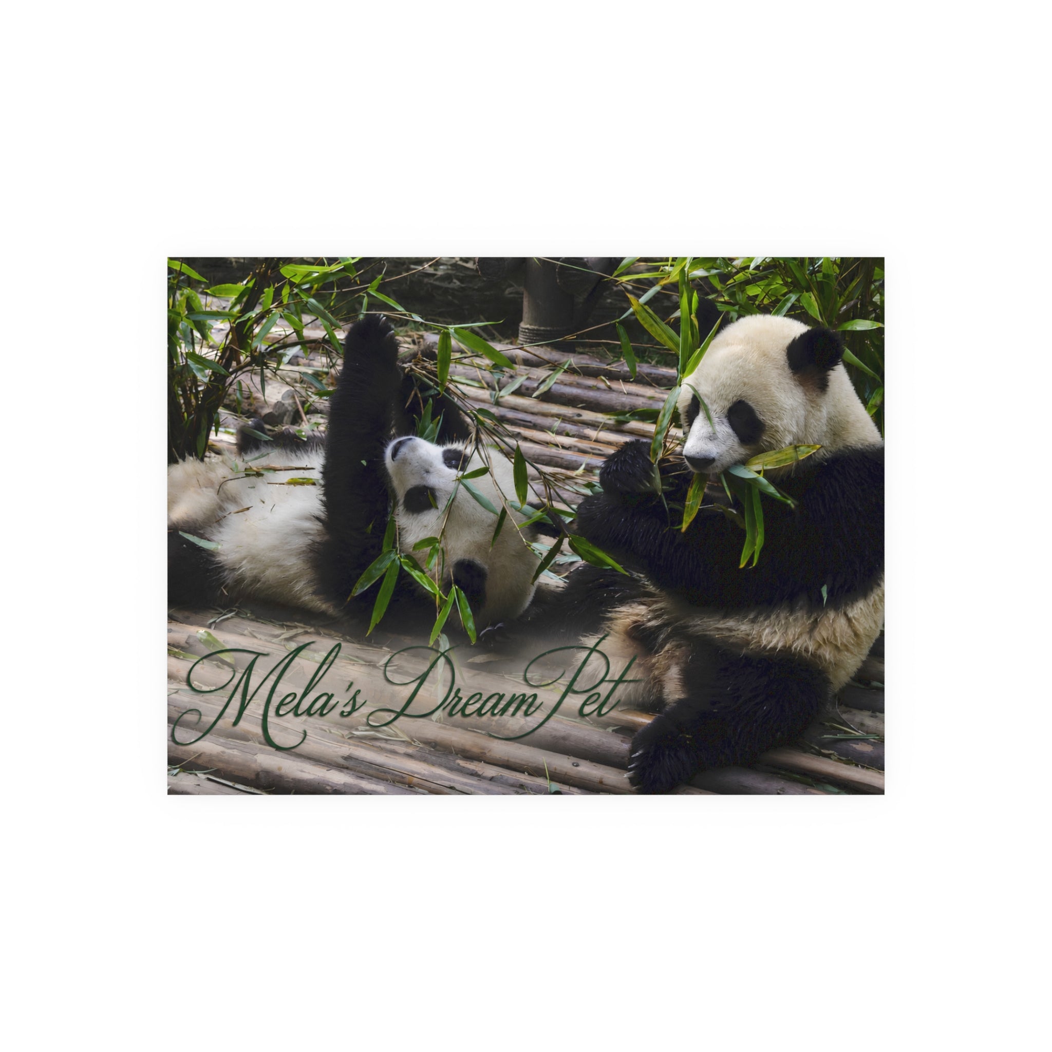 “Name’s” Dream Pet" Poster Satin or Matte Wall Art