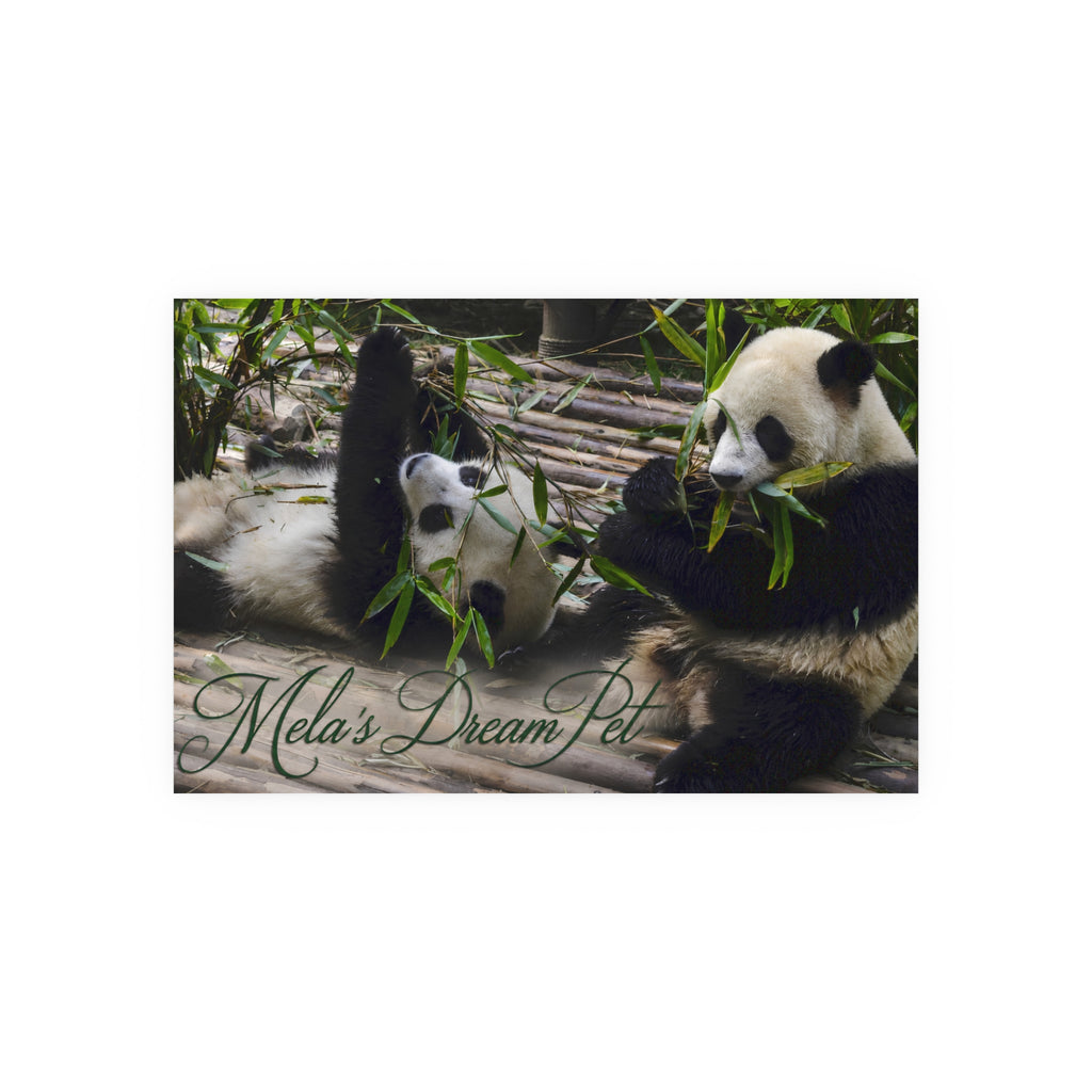 “Name’s” Dream Pet" Poster Satin or Matte Wall Art