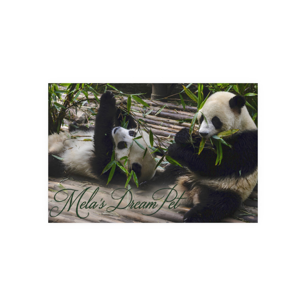 “Name’s” Dream Pet" Poster Satin or Matte Wall Art