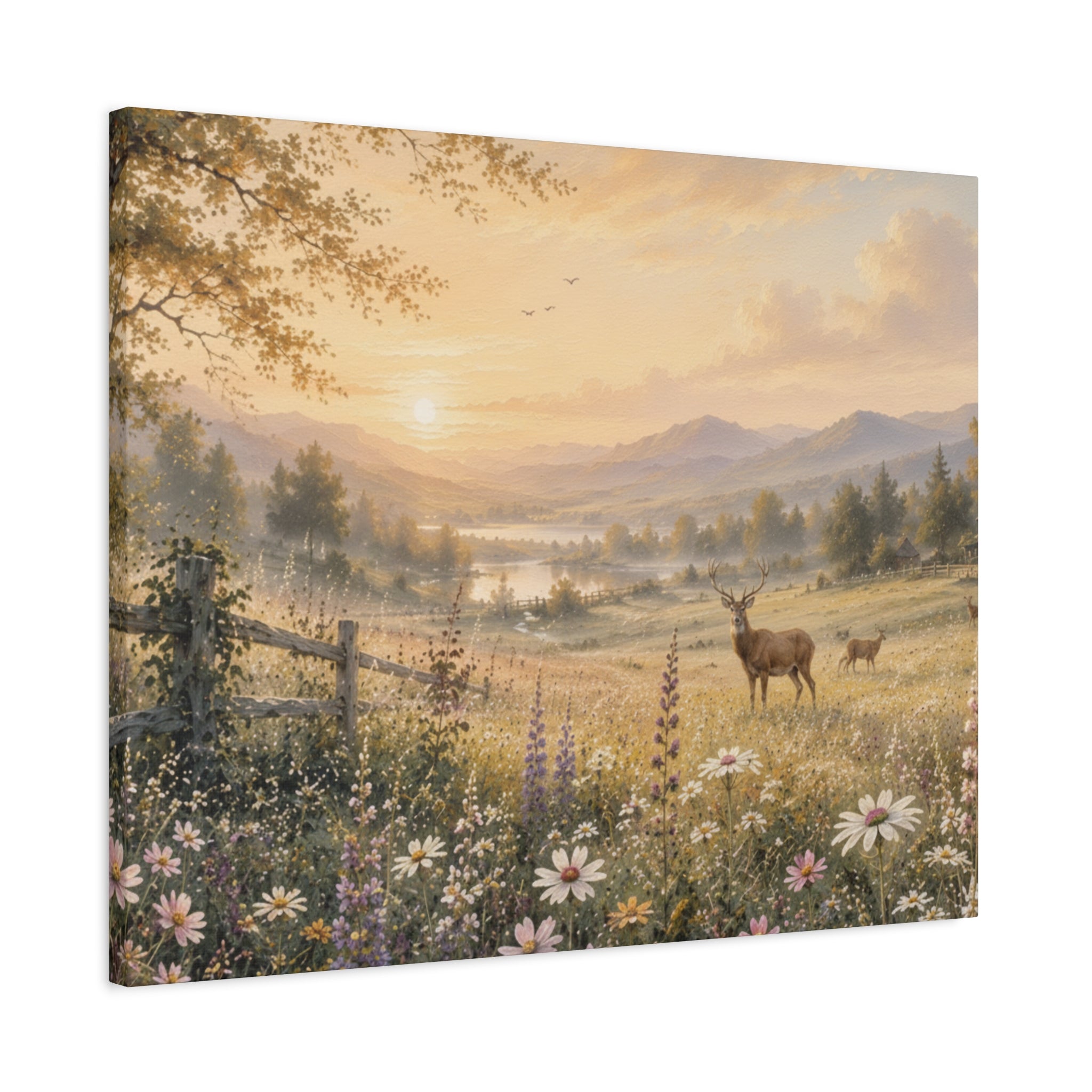 Deer Meadow Sunrise Canvas